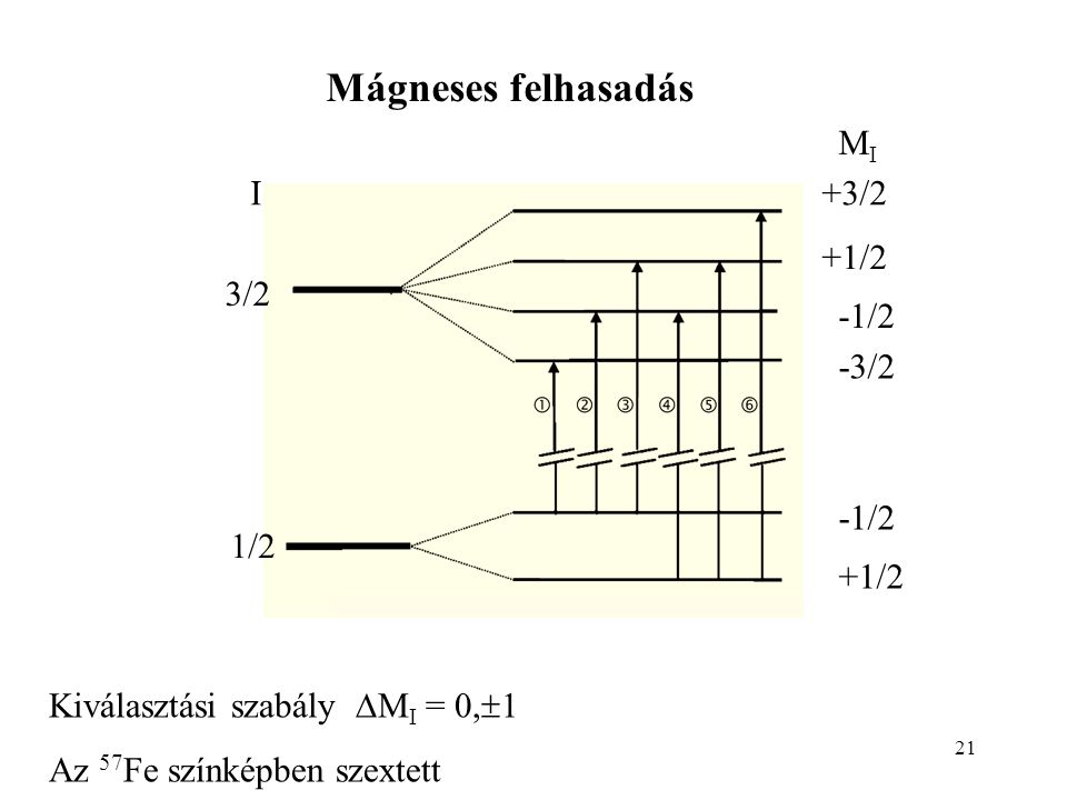 21 3/2 1/2 I MIMI +3/2 +1/2 -1/2 -3/2 -1/2 +1/2 Mágneses felhasadás Kiválasztási szabály  M I = 0,  1 Az 57 Fe színképben szextett
