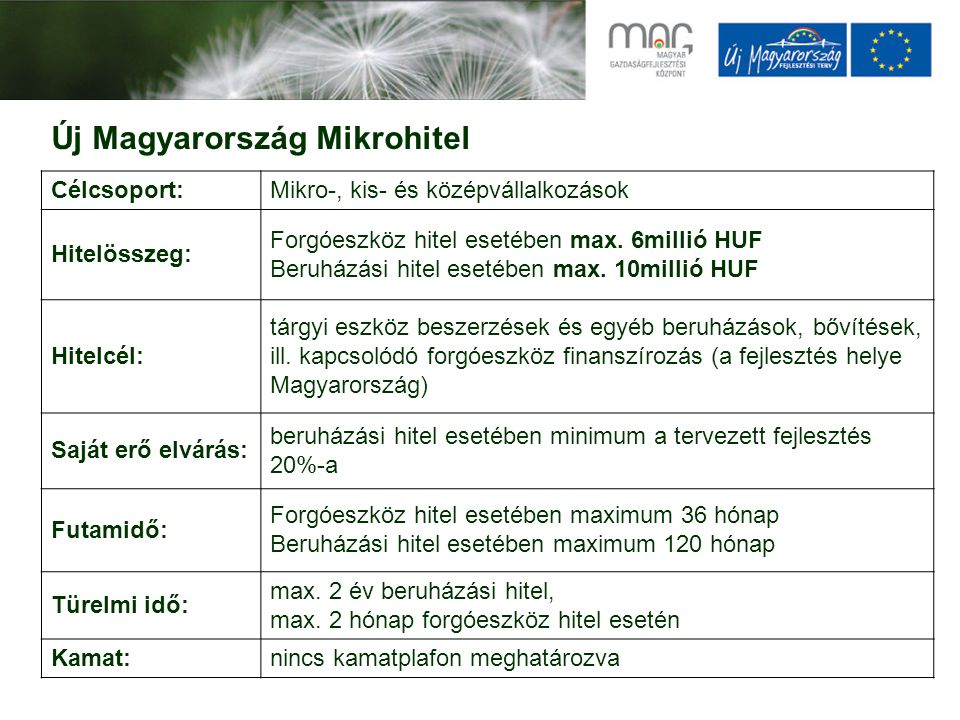 Új Magyarország Mikrohitel Célcsoport:Mikro-, kis- és középvállalkozások Hitelösszeg: Forgóeszköz hitel esetében max.