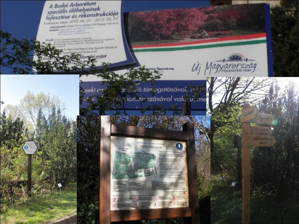 Budai Arborétum információk Fővárosunk budai oldalán a Gellért-hegytől délre terül el hazánk egyik legszínesebb gazdagságú arborétuma.