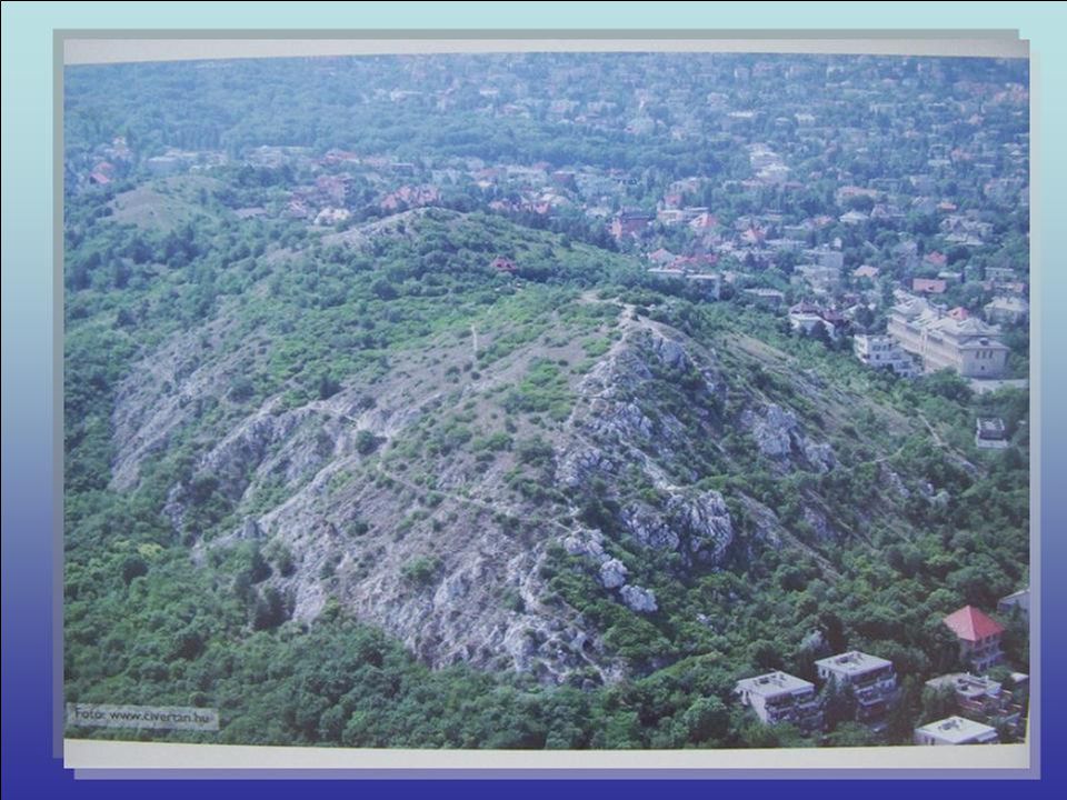 Sas-hegy tanösvény A Budai Sas-hegy Természetvédelmi Terület különleges természeti értékeket őriz a lüktető főváros felett 250 m-rel.