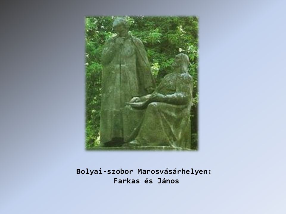 Bolyai-szobor Marosvásárhelyen: Farkas és János