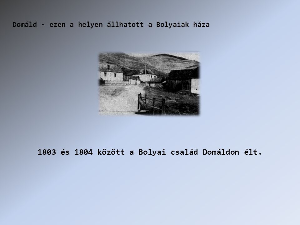 1803 és 1804 között a Bolyai család Domáldon élt. Domáld - ezen a helyen állhatott a Bolyaiak háza