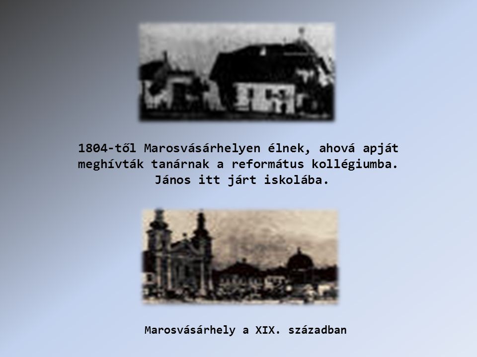 1804-től Marosvásárhelyen élnek, ahová apját meghívták tanárnak a református kollégiumba.