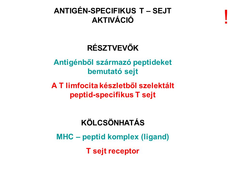 ANTIGÉN-SPECIFIKUS T – SEJT AKTIVÁCIÓ RÉSZTVEVŐK Antigénből származó peptideket bemutató sejt A T limfocita készletből szelektált peptid-specifikus T sejt KÖLCSÖNHATÁS MHC – peptid komplex (ligand) T sejt receptor !