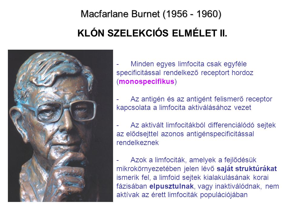 Macfarlane Burnet ( ) Macfarlane Burnet ( ) KLÓN SZELEKCIÓS ELMÉLET II.
