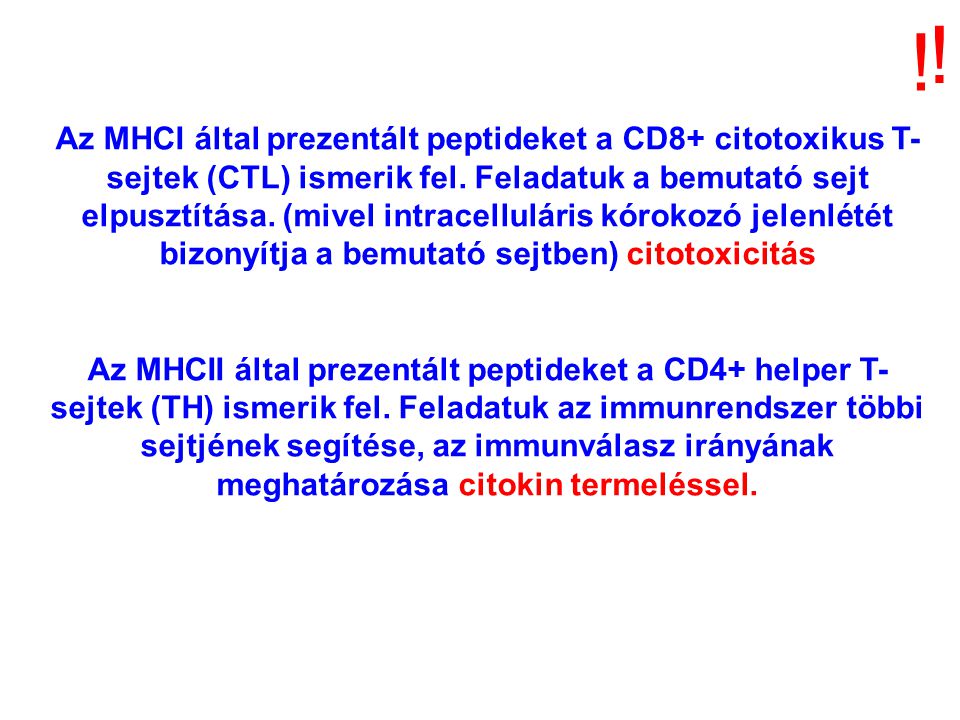 Az MHCI által prezentált peptideket a CD8+ citotoxikus T- sejtek (CTL) ismerik fel.