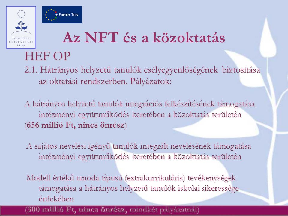 Az NFT és a közoktatás HEF OP 2.1.