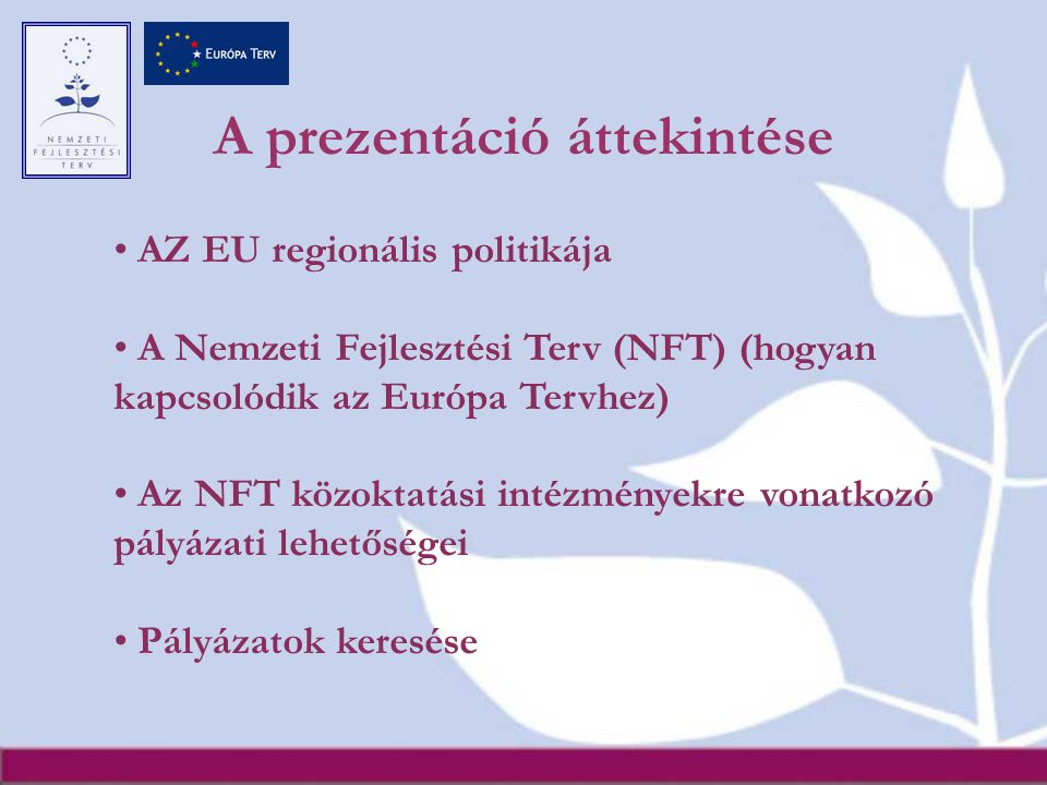 A prezentáció áttekintése AZ EU regionális politikája A Nemzeti Fejlesztési Terv (NFT) (hogyan kapcsolódik az Európa Tervhez) Az NFT közoktatási intézményekre vonatkozó pályázati lehetőségei Pályázatok keresése
