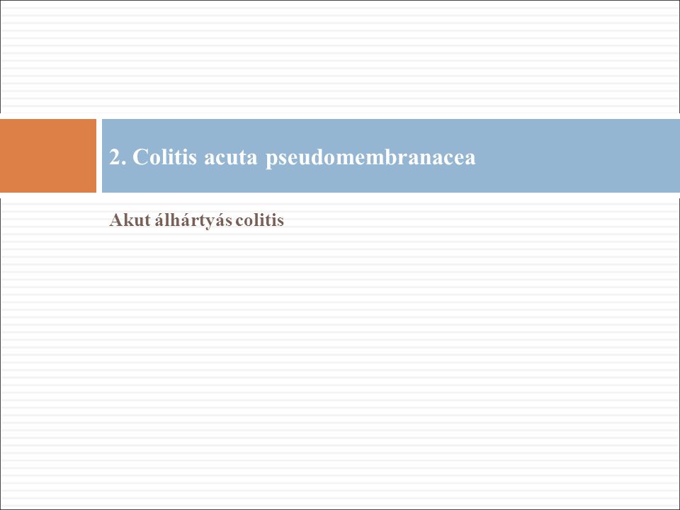 Akut álhártyás colitis 2. Colitis acuta pseudomembranacea
